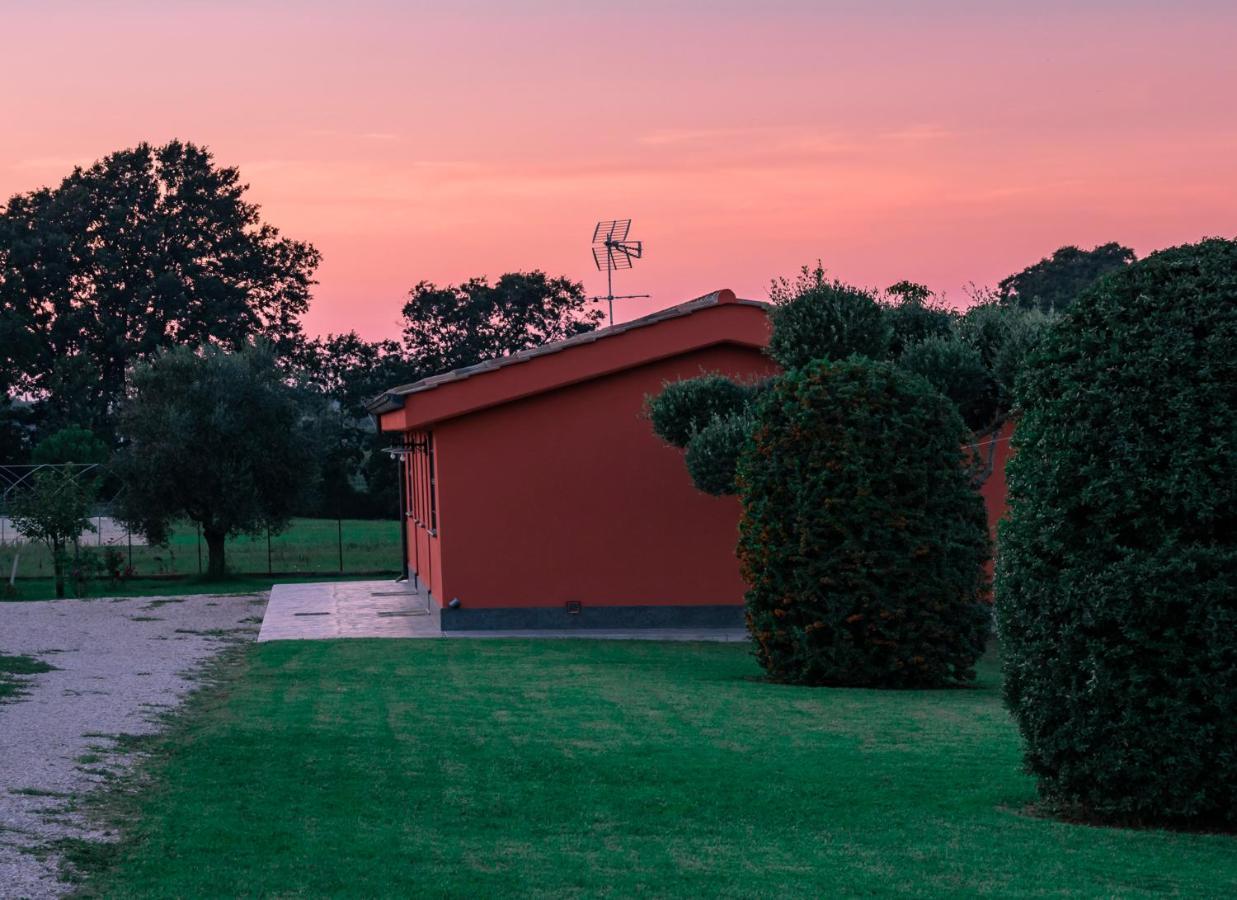 Bed and Breakfast Le Rose Nettuno Zewnętrze zdjęcie